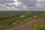 Weinberg