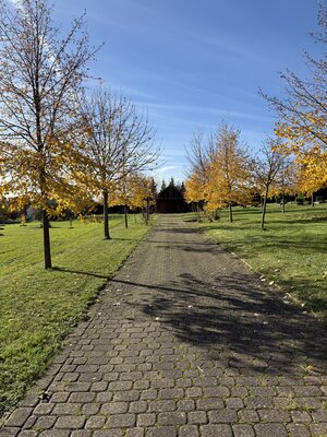 Bild vergr&ouml;&szlig;ern: Friedhof Hornburg