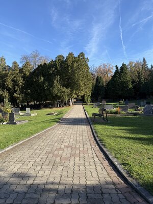 Bild vergr&ouml;&szlig;ern: Friedhof Stedten